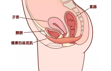 月子會所盆底肌儀器有用嗎？選擇月子會所有什么好處？